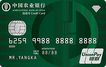 银联附属卡--PVC材质